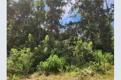 Lot 27 Mayhaw Lane, Plantersville, TX 77363 - Photo 1