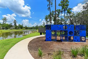 17211 Green Darter, Conroe, TX 77385 - Photo 19