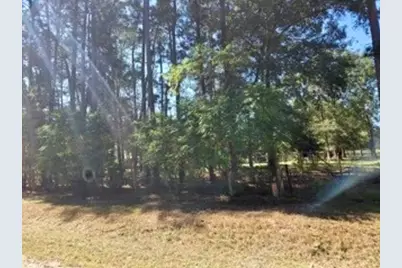 441 Wonderland Drive, Shepherd, TX 77371 - Photo 7