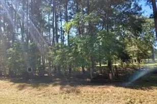 441 Wonderland Dr, Shepherd, TX 77371 - Photo 7