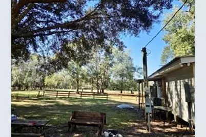 441 Wonderland Drive, Shepherd, TX 77371 - Photo 3