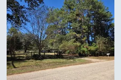 441 Wonderland Drive, Shepherd, TX 77371 - Photo 9