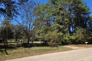 441 Wonderland Dr, Shepherd, TX 77371 - Photo 9