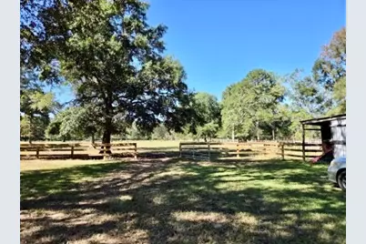 441 Wonderland Drive, Shepherd, TX 77371 - Photo 5