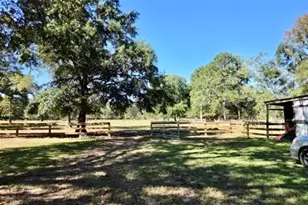 441 Wonderland Dr, Shepherd, TX 77371 - Photo 5