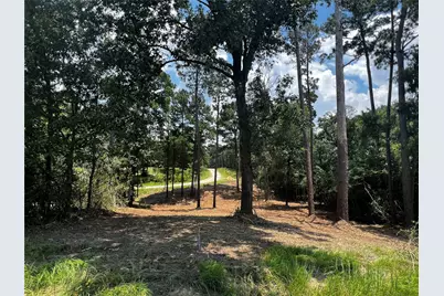 Tbd Valley View Drive, Onalaska, TX 77360 - Photo 5