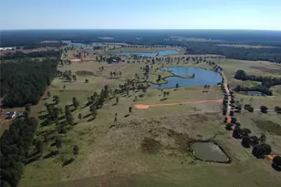 Lot 252 Lakeland Ranch, Hillister, TX 77624 - Photo 1