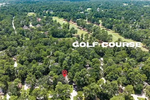 1 Rolling Mill Ln, The Woodlands, TX 77380 - Photo 45