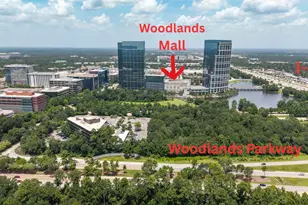 1 Rolling Mill Ln, The Woodlands, TX 77380 - Photo 47