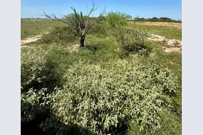 1993 Fm 2761, Cat Spring, TX 78933 - Photo 3