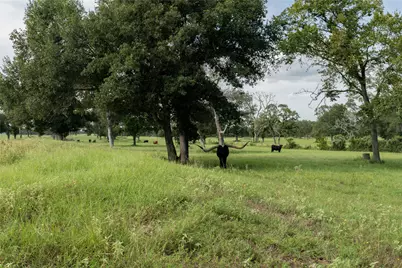 000 Aztec Lane, New Ulm, TX 78950 - Photo 1