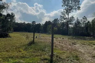 23001 Mary Ln, Porter, TX 77365 - Photo 3