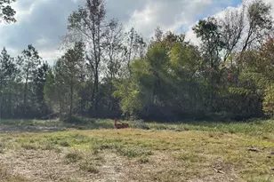 23001 Mary Ln, Porter, TX 77365 - Photo 5