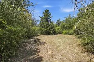 1308 N Sims Ave, Bryan, TX 77803 - Photo 3