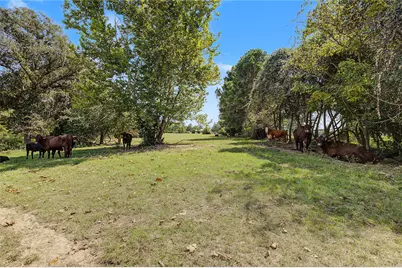 13111 Shepard Hill Road, Willis, TX 77318 - Photo 13