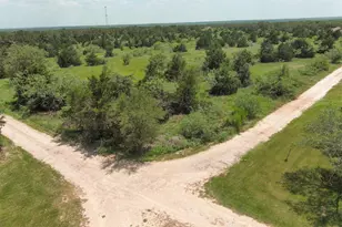 0 W McDonald Ln W, Cedar Creek, TX 78612 - Photo 1