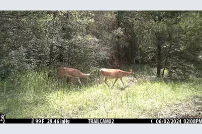 2324 County Road 353, Gause, TX 77857 - Photo 45