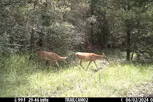 2324 Co Rd 353, Gause, TX 77857 - Photo 45