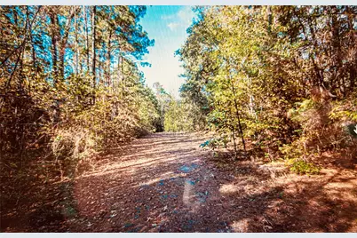 Tbd Adventure Trail, Trinity, TX 75862 - Photo 5