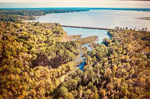 Tbd Adventure Trail, Trinity, TX 75862 - Photo 1