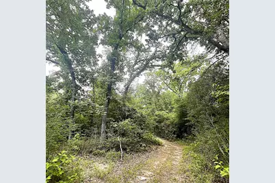 5002 Fm 811, Centerville, TX 75833 - Photo 29