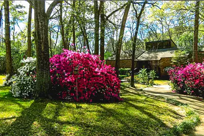 1776 Avenue S, Huntsville, TX 77340 - Photo 3