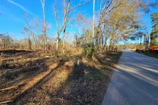 Lot 47 Sherwood Dr, Shepherd, TX 77371 - Photo 1