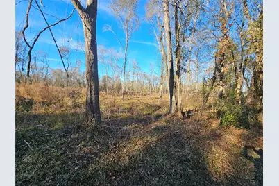 Lot 47 Sherwood Drive, Shepherd, TX 77371 - Photo 5