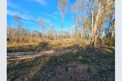 Lot 47 Sherwood Drive, Shepherd, TX 77371 - Photo 3