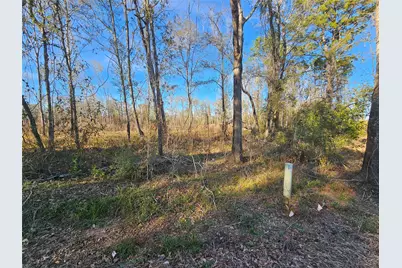 Lot 47 Sherwood Drive, Shepherd, TX 77371 - Photo 7