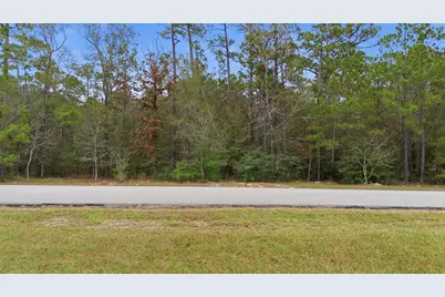 12033 Oak Forest Lane, Conroe, TX 77385 - Photo 7