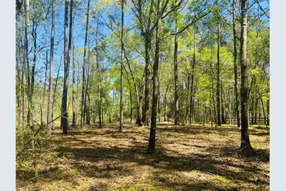 00 Creekbend Drive, Plantersville, TX 77363 - Photo 5