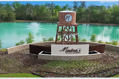 16948 Juniper Blossom Bend, Conroe, TX 77378 - Photo 27