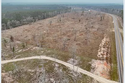 Tbd Fm-3152, Livingston, TX 77351 - Photo 5