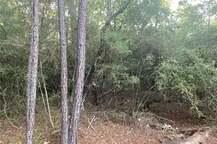 Tbd Peach Dr, Huntsville, TX 77320 - Photo 3