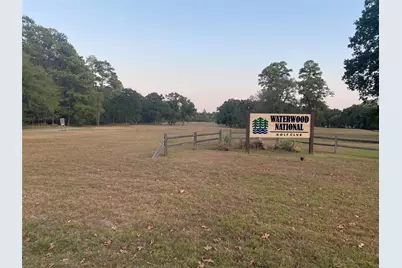 Tbd Peach Drive, Huntsville, TX 77320 - Photo 11