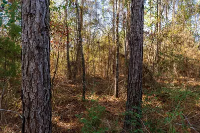 23684 Fm 227 E, Kennard, TX 75847 - Photo 21