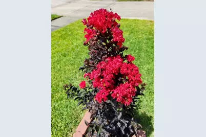 21235 Lily Springs Drive, Porter, TX 77365 - Photo 35