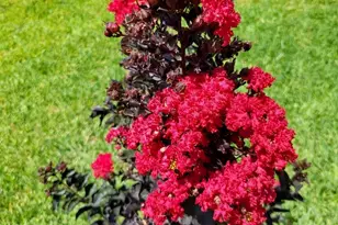 21235 Lily Springs Dr, Porter, TX 77365 - Photo 35