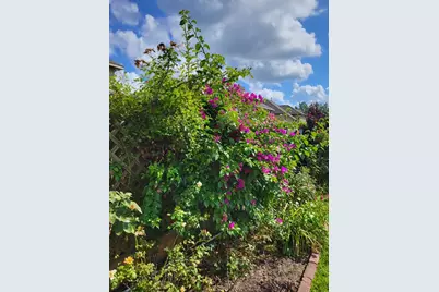 21235 Lily Springs Drive, Porter, TX 77365 - Photo 37