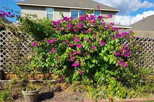 21235 Lily Springs Dr, Porter, TX 77365 - Photo 39