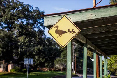 Tbd Sunny Meadow Lot 23 Drive, Chappell Hill, TX 77426 - Photo 25