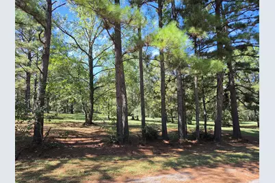 14619 Gingham Road S, Montgomery, TX 77356 - Photo 39