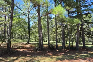 14619 Gingham Road S, Montgomery, TX 77356 - Photo 39