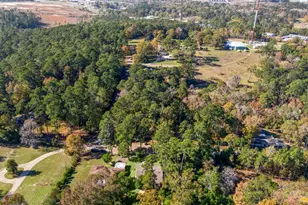 113 Hillendale Dr, Livingston, TX 77351 - Photo 45