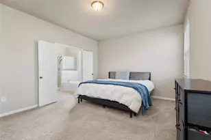 17111 Daylily Dune Wy, Hockley, TX 77447 - Photo 23