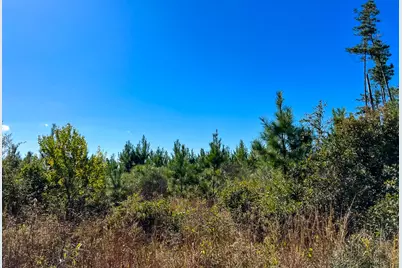 T-2 Fm 787, Votaw, TX 77376 - Photo 7