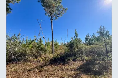 T-2 Fm 787, Votaw, TX 77376 - Photo 13