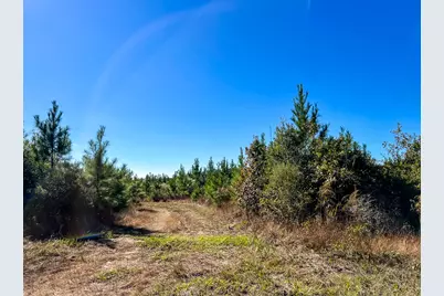 T-2 Fm 787, Votaw, TX 77376 - Photo 5