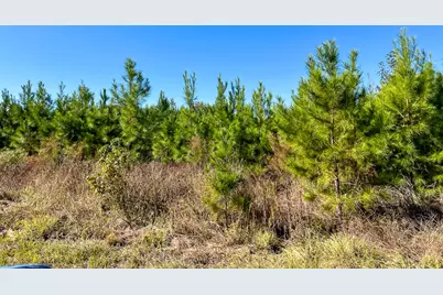 T-2 Fm 787, Votaw, TX 77376 - Photo 9